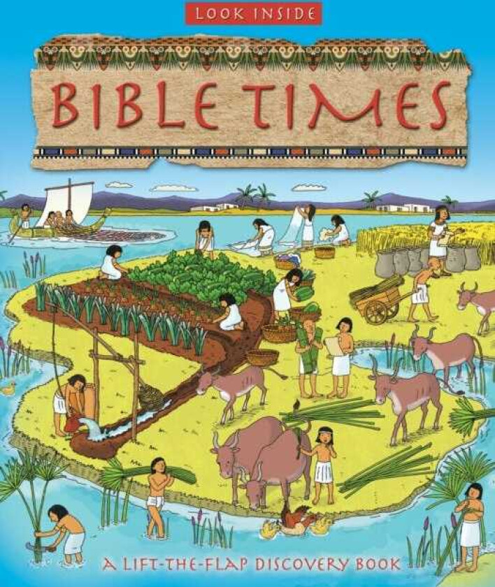 Look Inside Bible Times