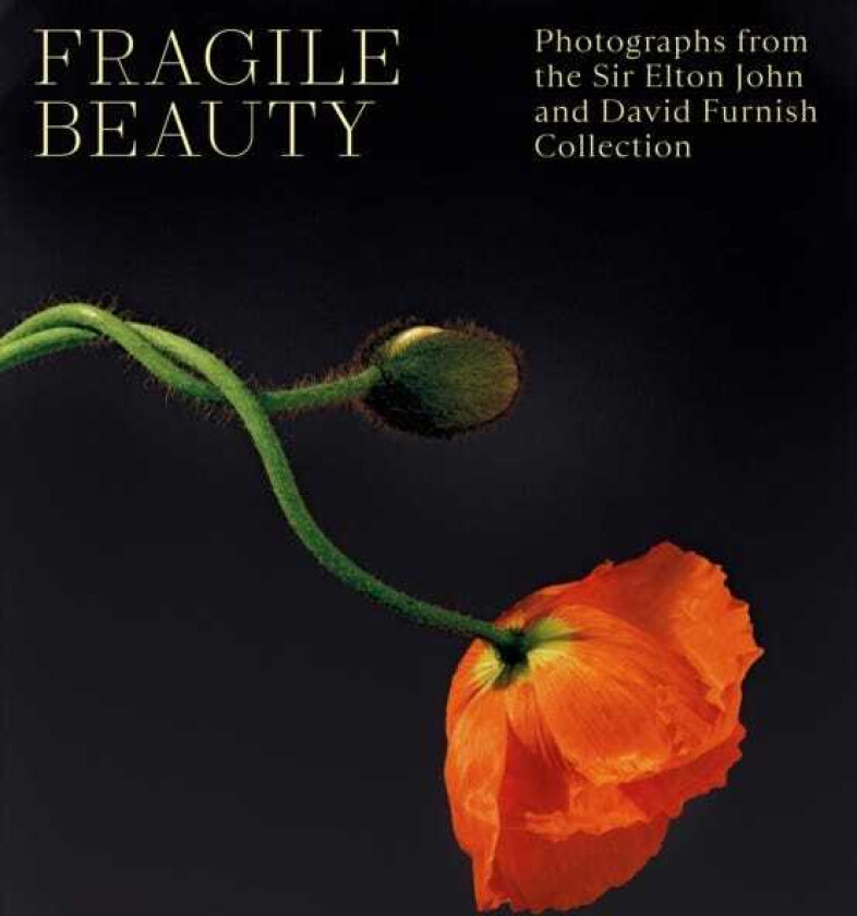 Fragile Beauty  Photographs from the Sir Elton John and David Furnish Collection  The Official V&A Exhibition Book