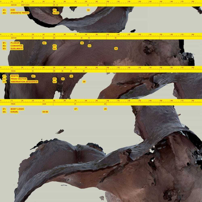 Awe Kid Body Logic LP/Vinyl