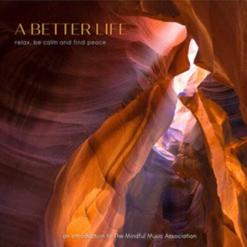 Diverse Artister A Better Life CD