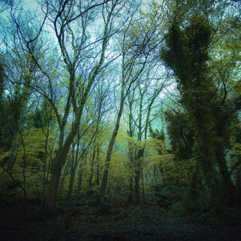 Worriedabotsatan Time Lapse CD