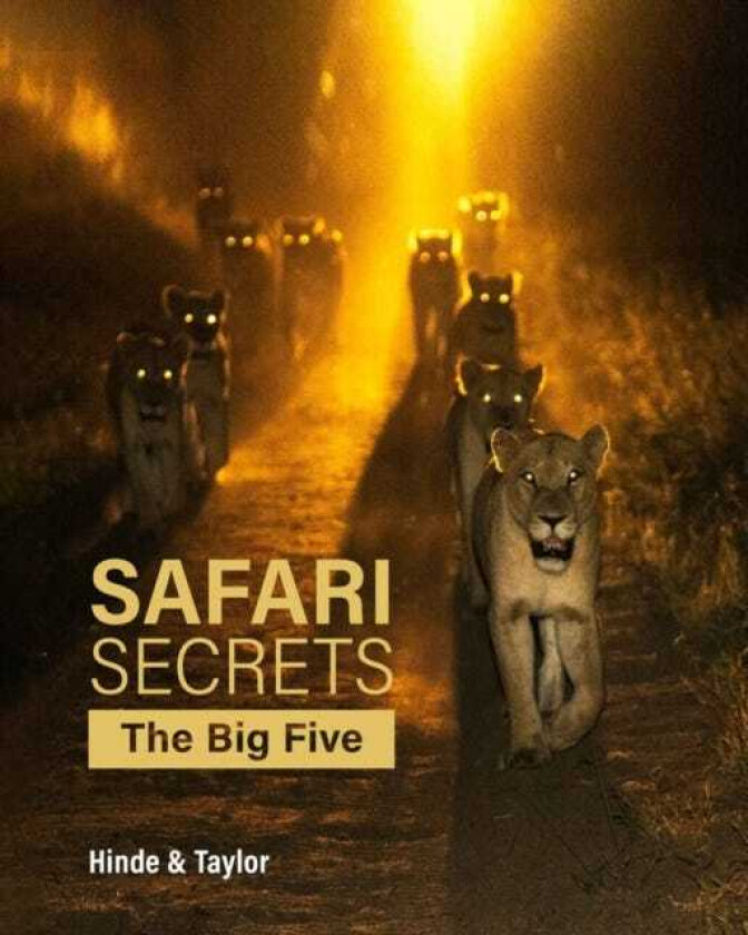 Safari Secrets  The Big Five