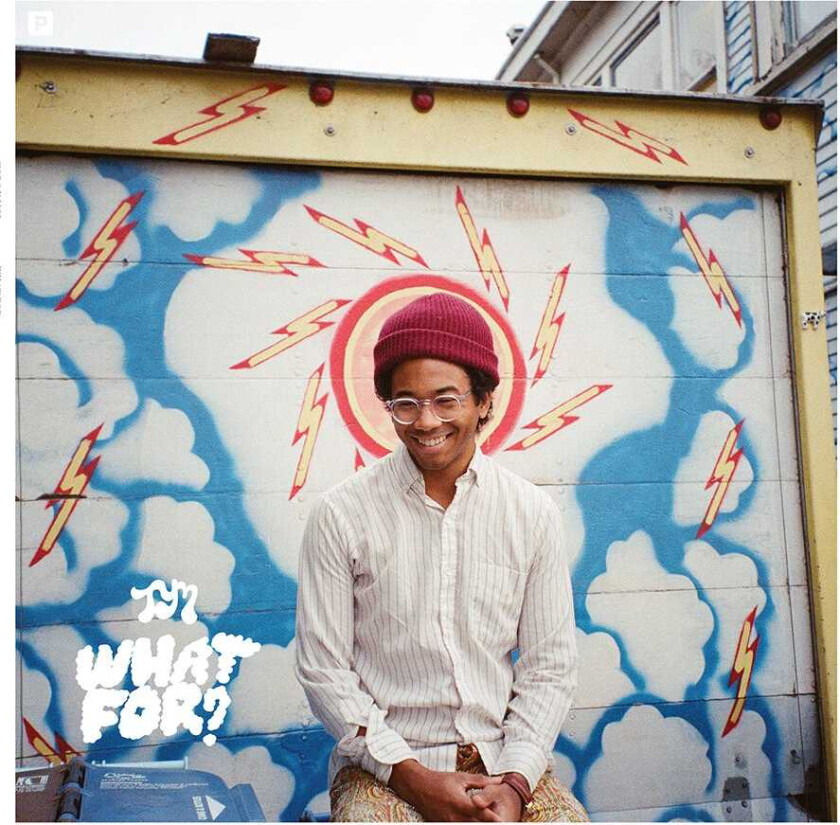 Toro Y Moi  What For?  CD