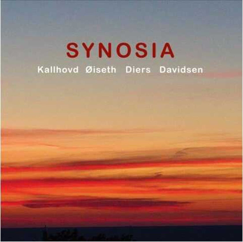 Olav Kallhovd Syniosa CD