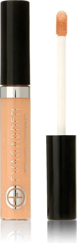 Impeccable Concealer - Impeccable Concealer 321