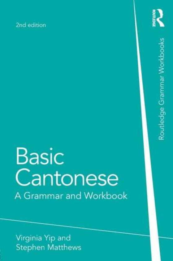 Basic Cantonese  A Grammar and Workbook