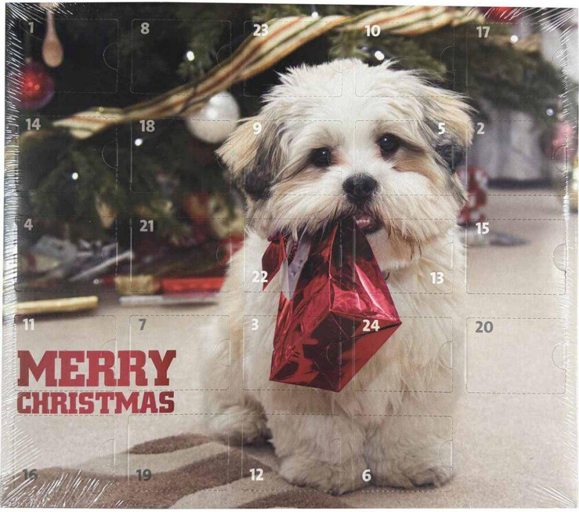adventskalender til hund