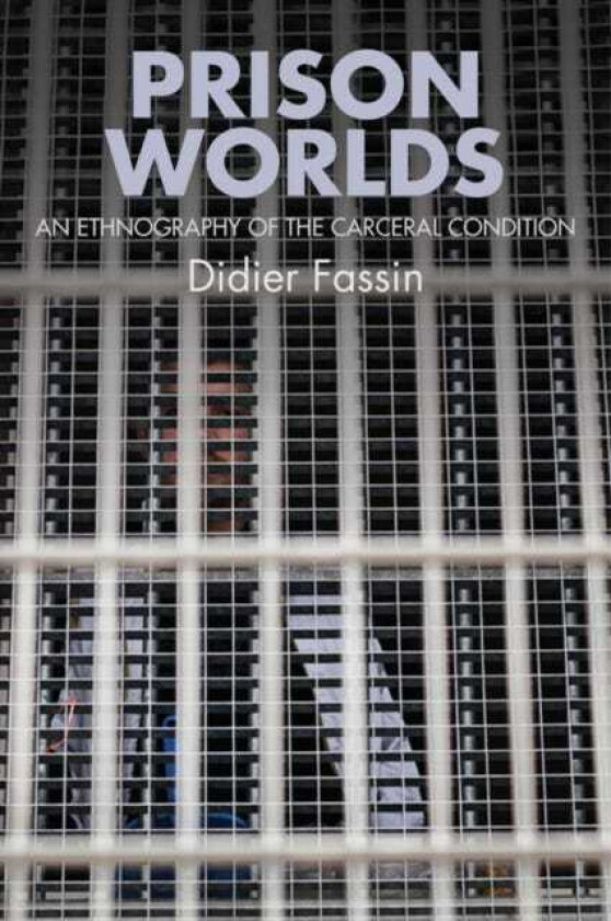 Prison Worlds An Ethnography of the Carceral Condition