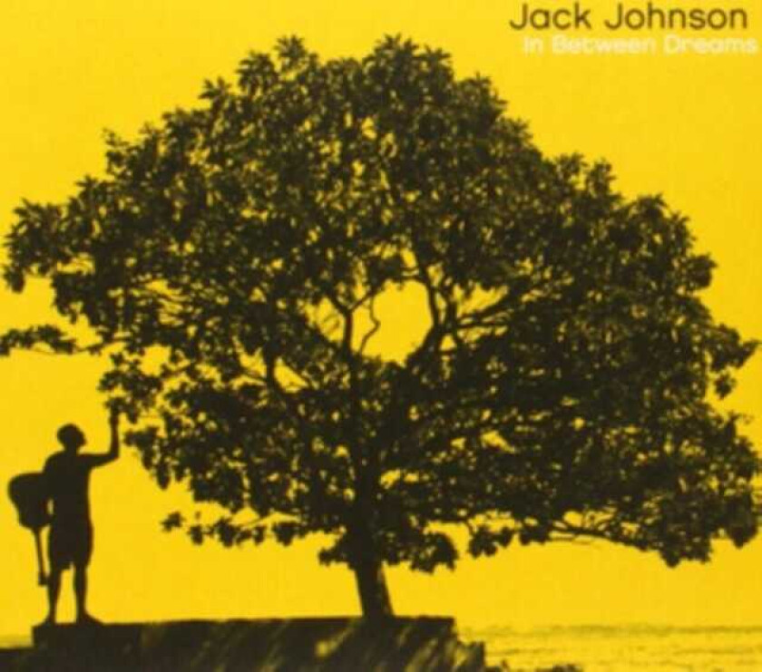 Jack Johnson In Between Dreams CD