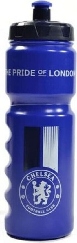 The Pride Of London Ergonomic Water Bottle