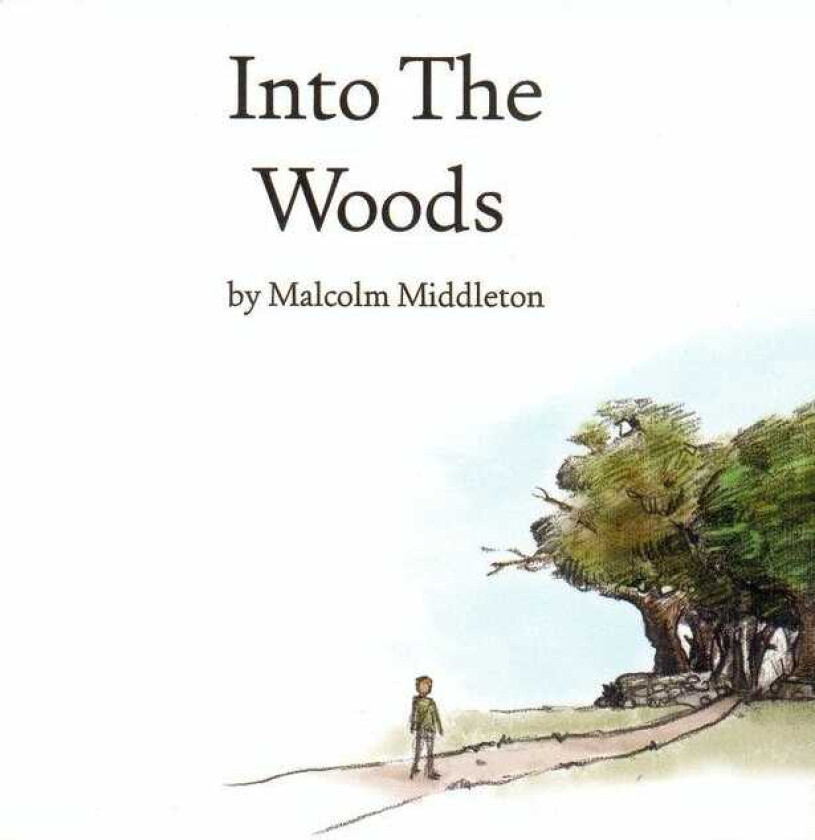 Malcolm Middleton  Into The Woods  CD