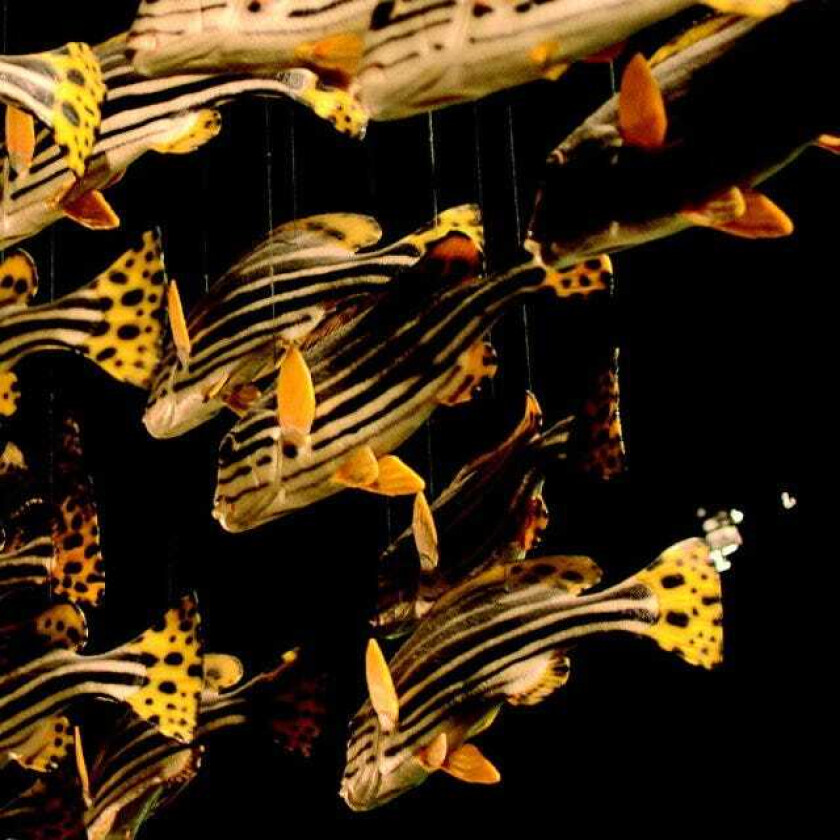 City Center City Center CD