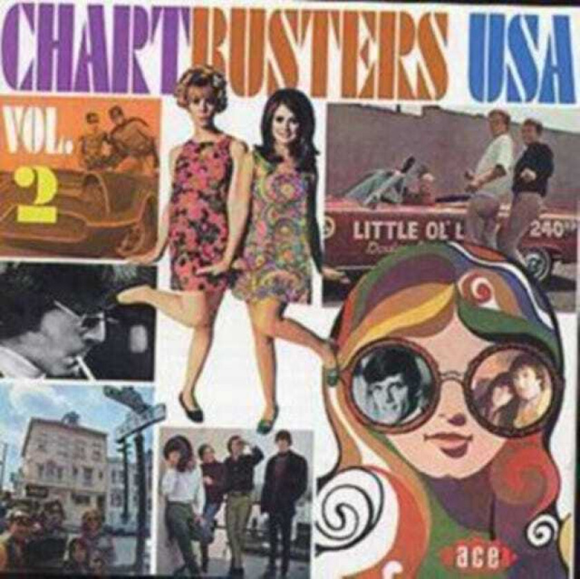 Diverse Artister Chartbusters USA Vol. 2 196369 CD