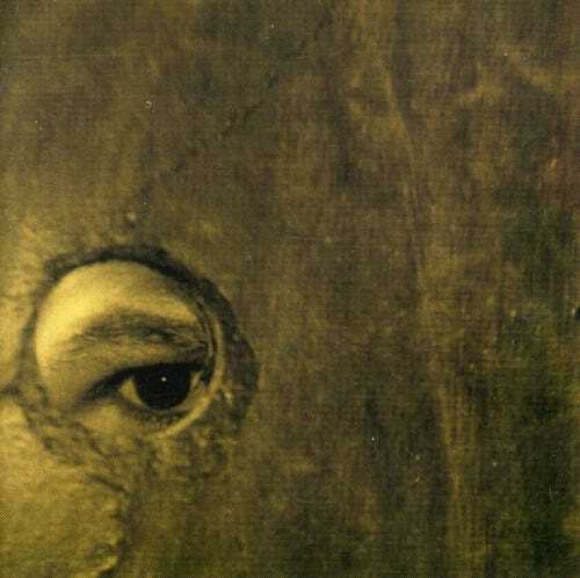 Boom Bip & Doseone Circle CD