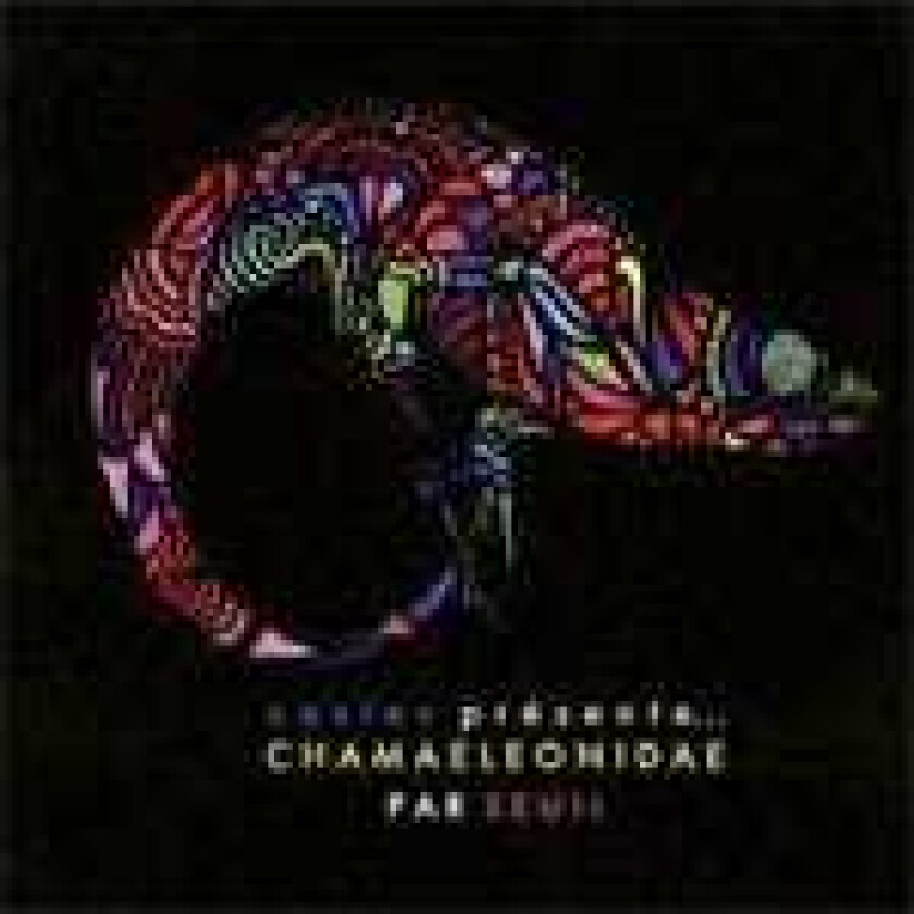 Seuil Costes Presente Chamaeleonidae Par Seuil CD