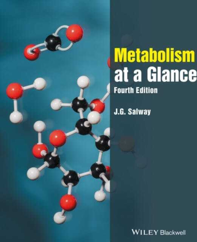 Metabolism at a Glance