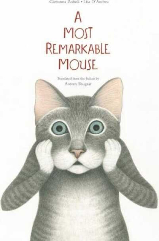 A Most Mysterious Mouse