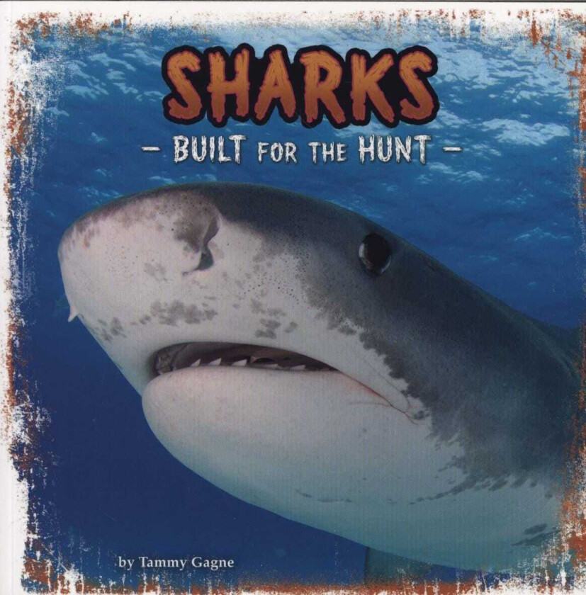 Sharks Built for the Hunt