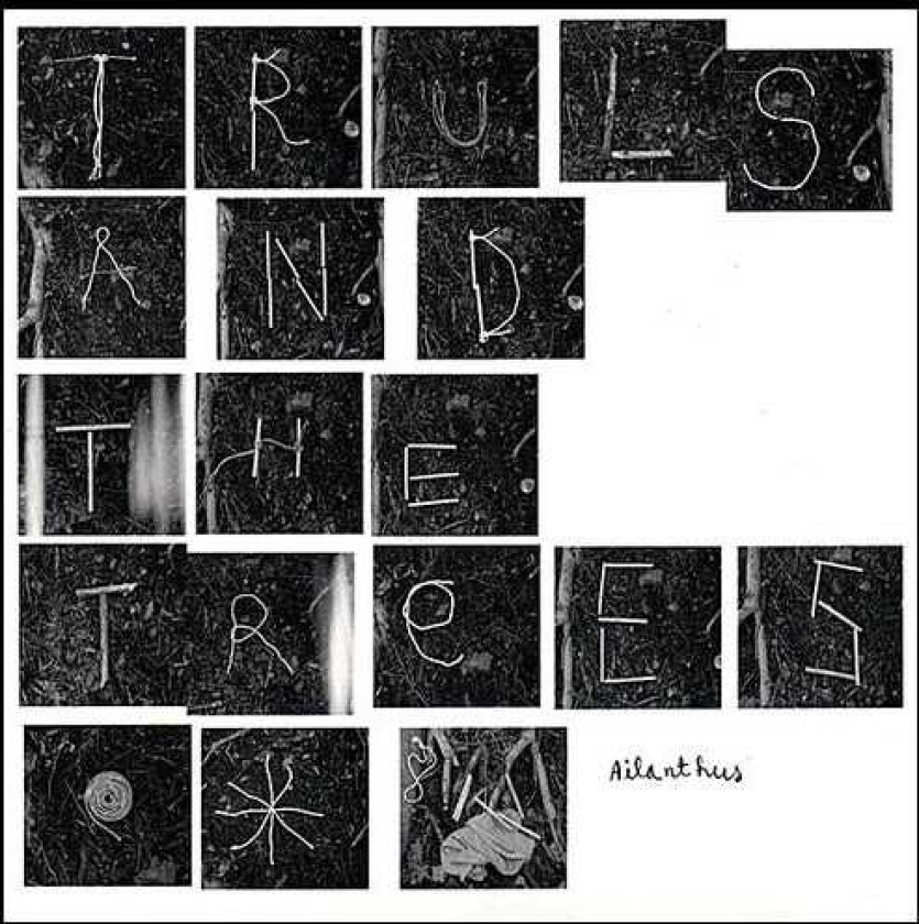 Truls And The Trees Ailanthus CD