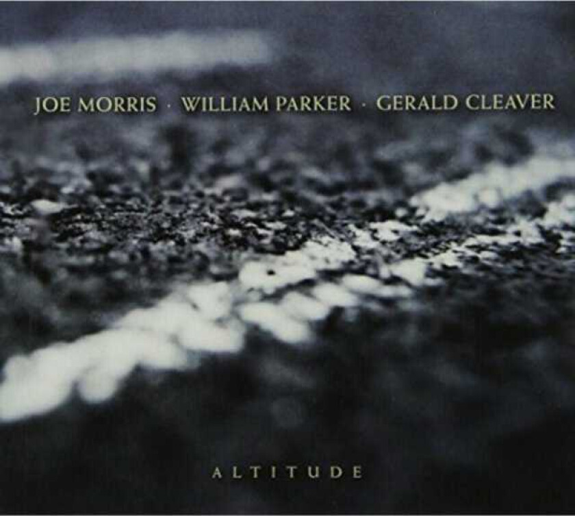 William Parker, Gerald Cleaver, Joe Morris  Altitude  CD