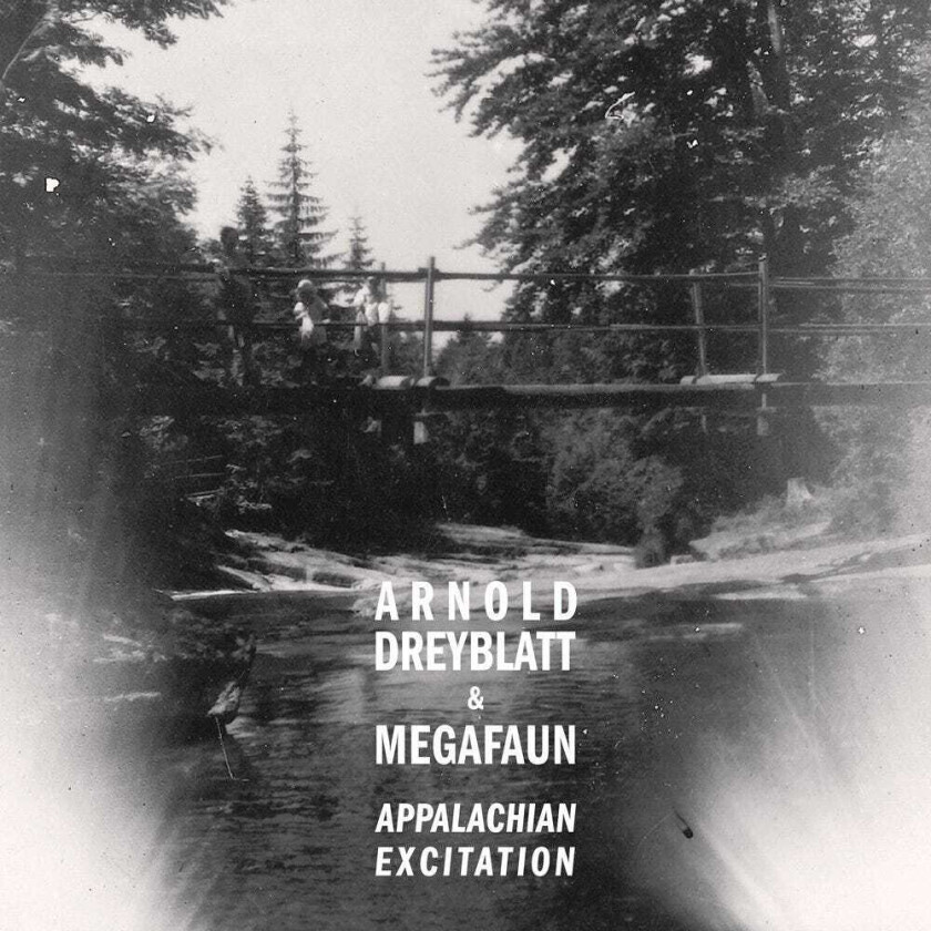 Arnold Dreyblatt & Megafaun, Arnold Dreyblatt, Megafaun  Appalachian Excitation  CD