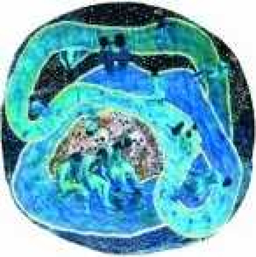 Life On Earth! A Space Water Loop CD