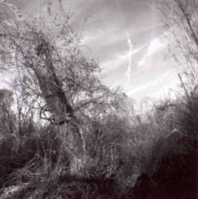 Harvey Milk A Small Turn Of Human Kindness CD