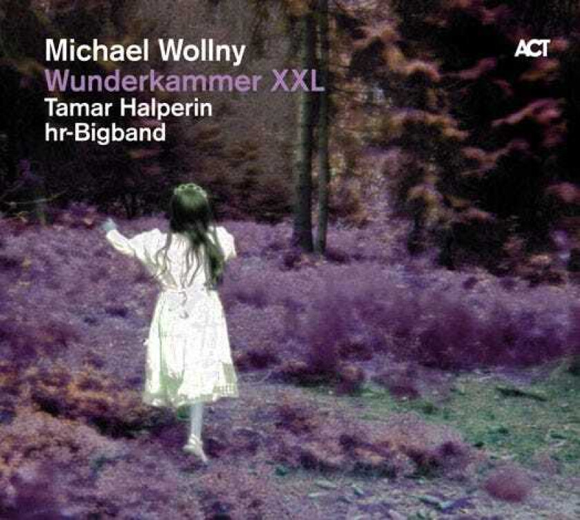 Michael Wollny Wunderkammer XXL CD