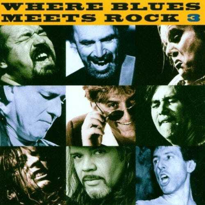 Diverse Blues Where Blues Meets Rock Vol. 3 CD