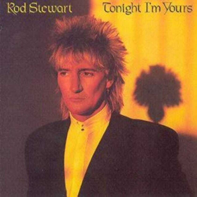Rod Stewart Tonight I'm Yours CD