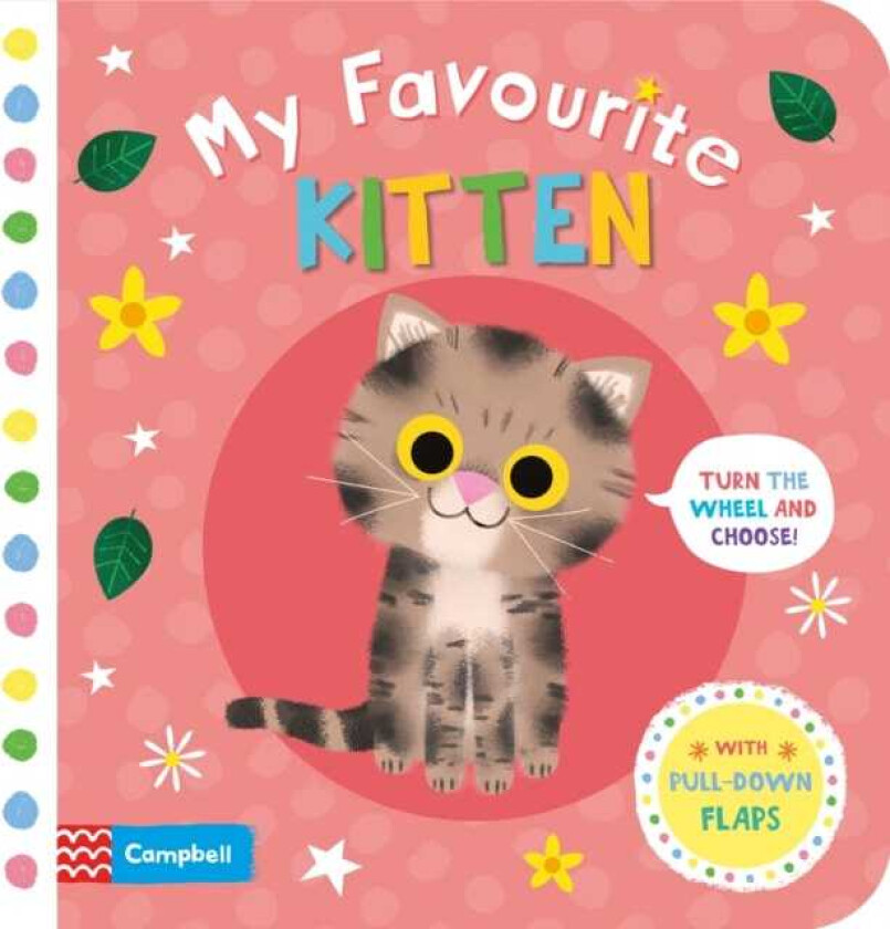 My Favourite Kitten