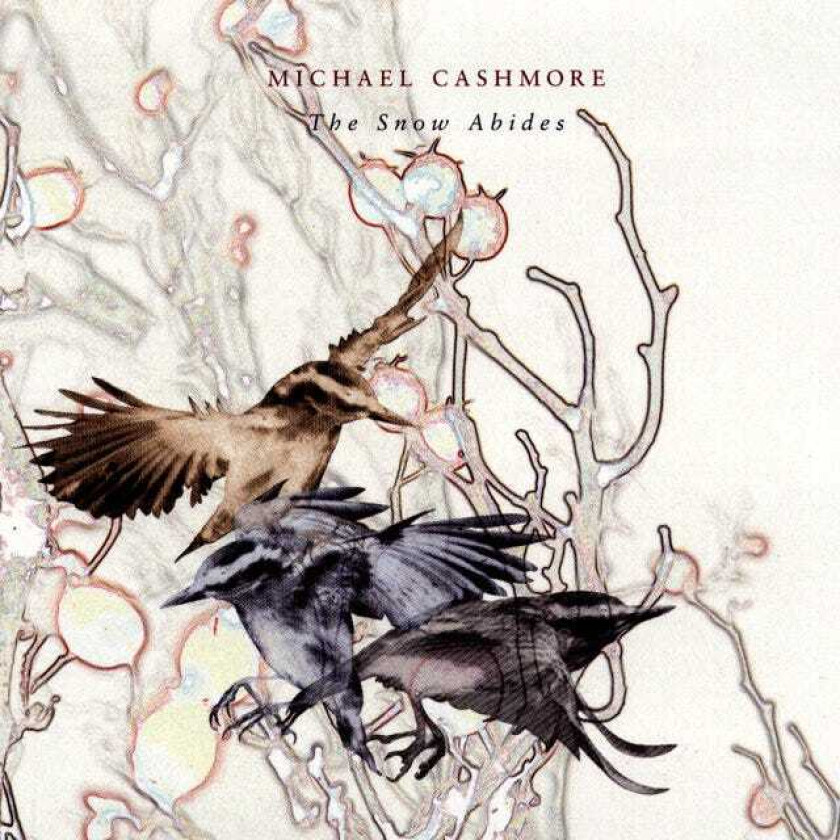 Michael Cashmore  The Snow Abides  CD