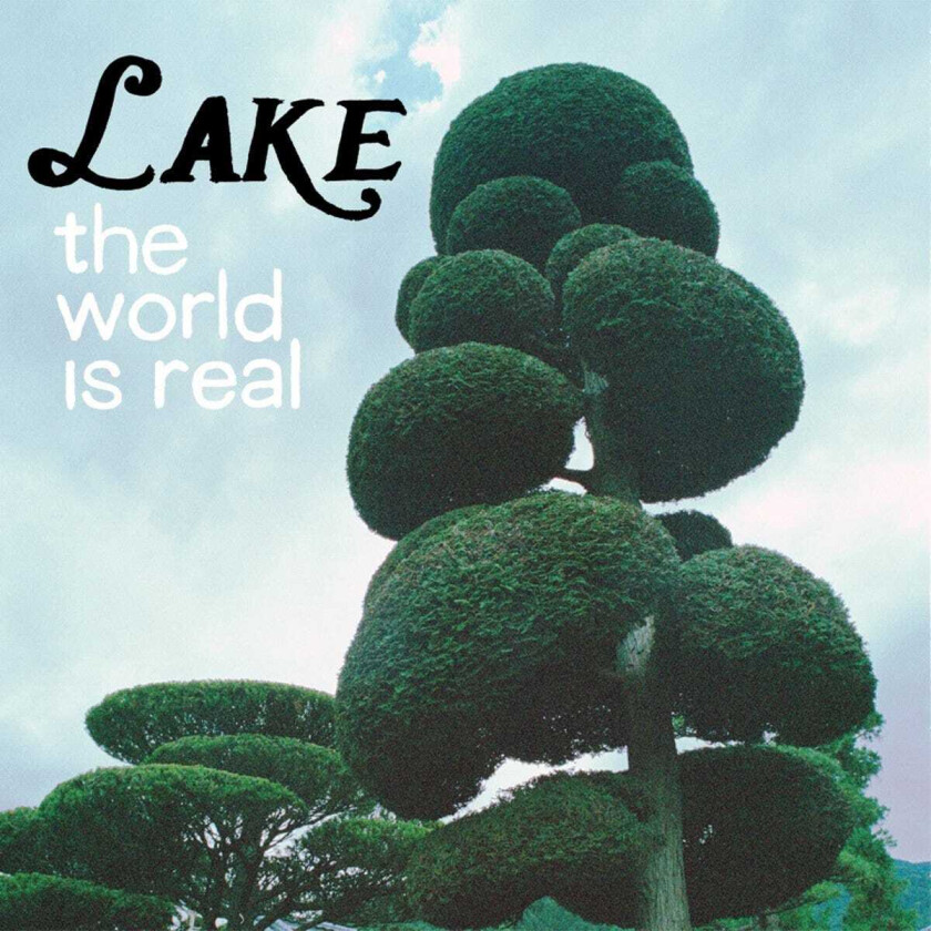 Lake The World Is Real CD