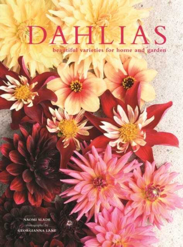 Dahlias Beautiful varieties for home and garden