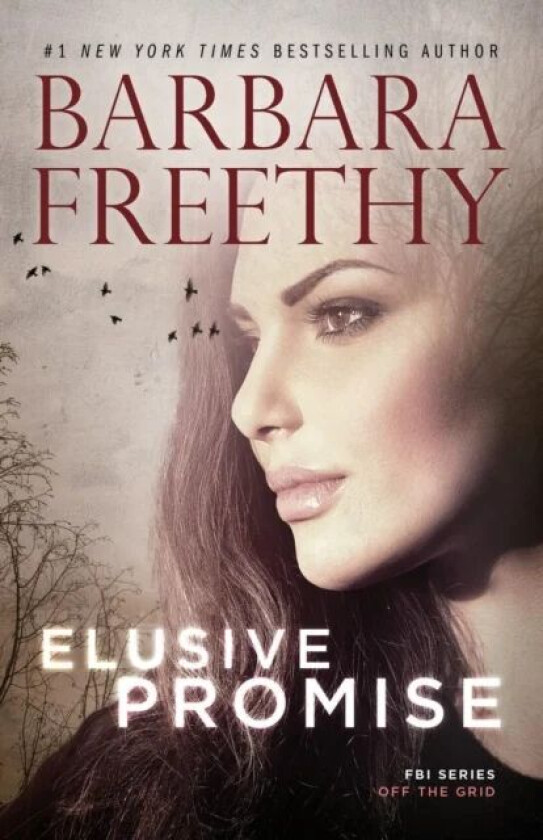 Elusive Promise av Barbara Freethy
