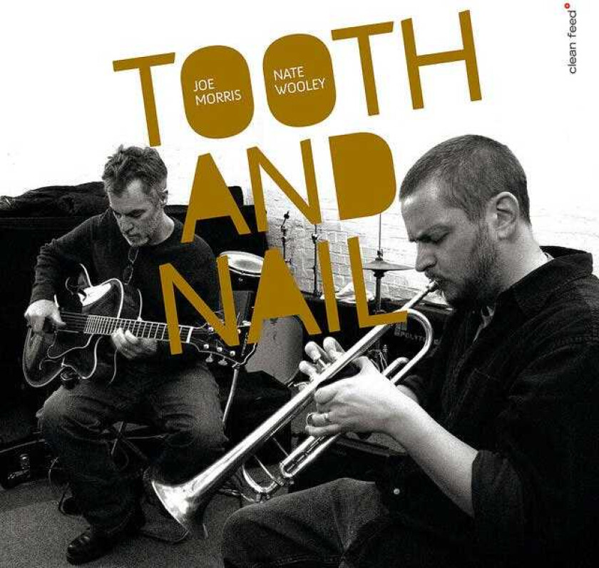 Joe Morris & Nate Wooley, Joe Morris  Tooth And Nail  CD