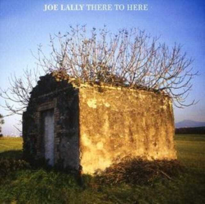 Joe Lally  There To Here  CD