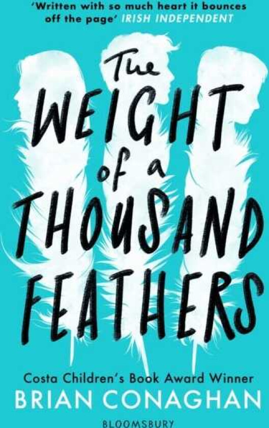 The Weight of a Thousand Feathers