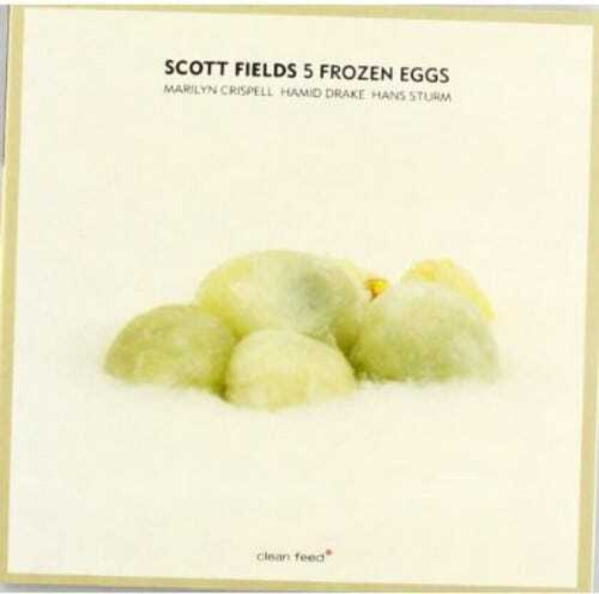 Scott Fields  5 Frozen Eggs  CD