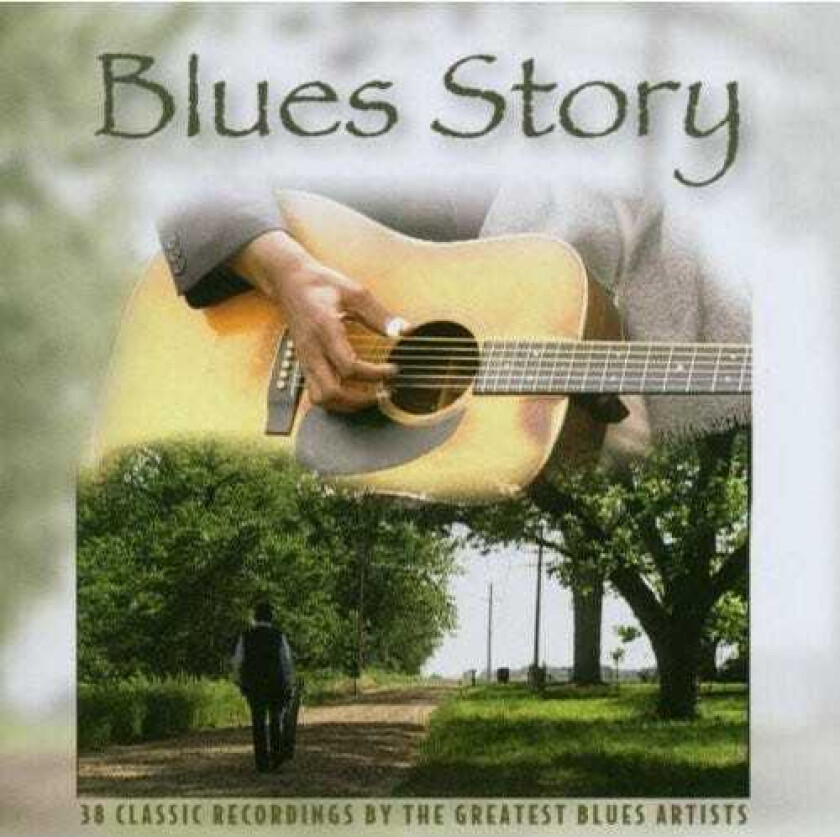 Diverse Blues  Blues Story  CD