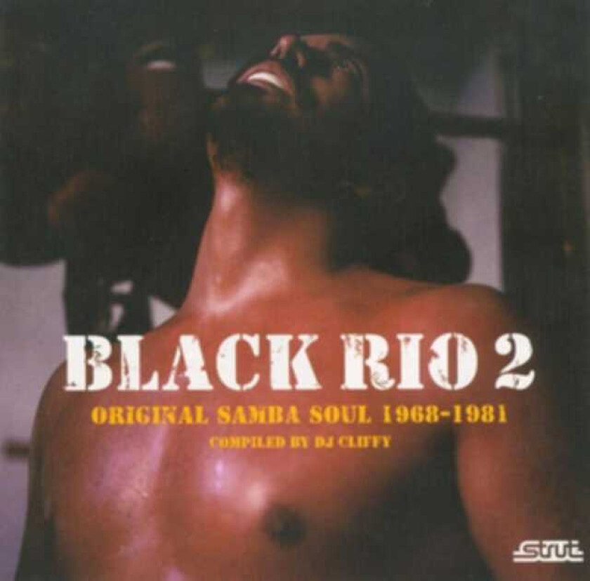 Diverse Soul  Black Rio Vol.2: Original Samba Soul 19711980  CD