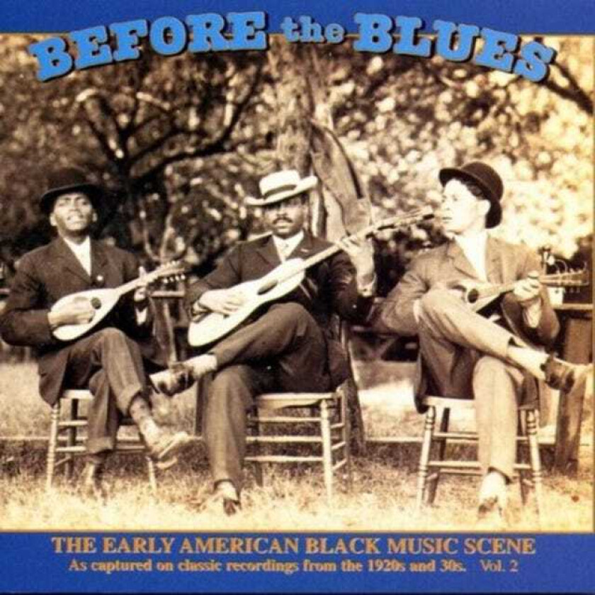 Diverse Blues  Before The Blues: The Early American Black Music Scene, Volume 2  CD