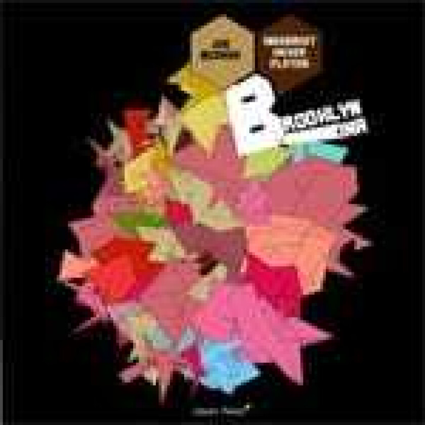 Joe McPhee, Ingebrigt Håker Flaten Brooklyn DNA CD
