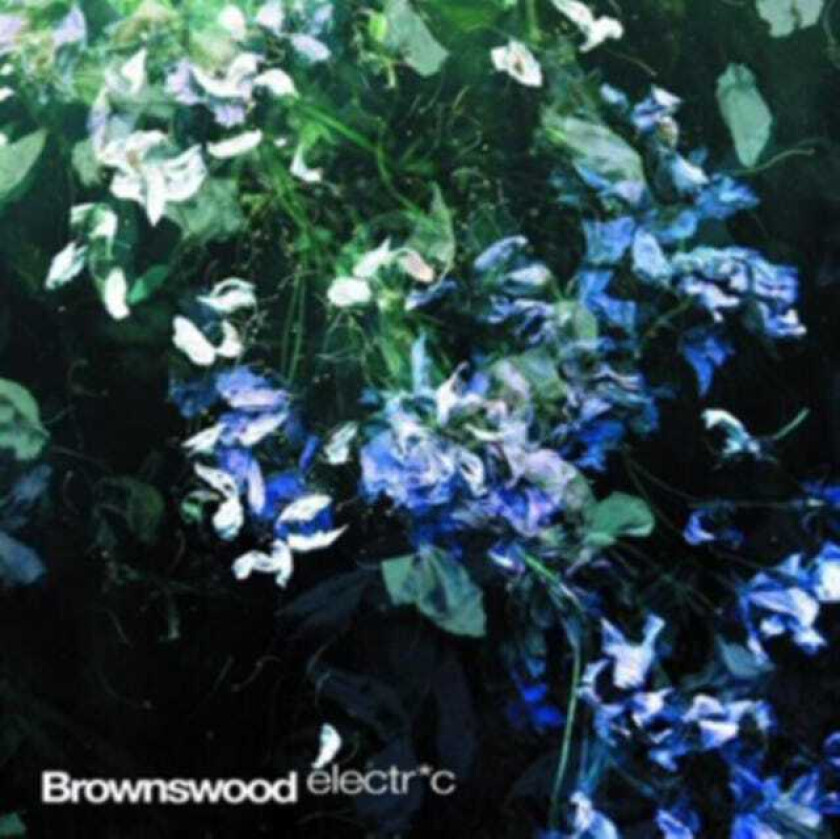 Diverse Electronica  Brownswood Electric  CD