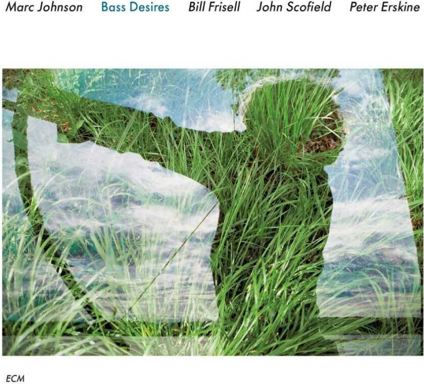 Marc Johnson Bass Desires Touchstones Series CD
