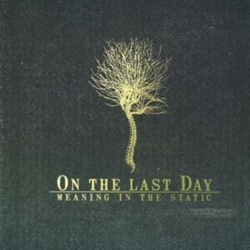On The Last Day Meaning In The Static CD
