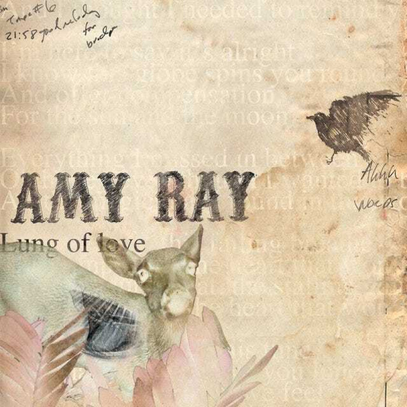 Amy Ray Lung Of Love CD