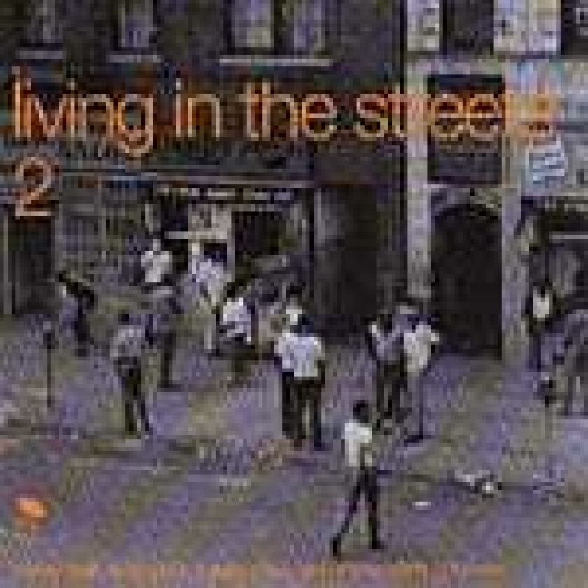 Diverse Soul  Living In The Streets Vol. 2  CD