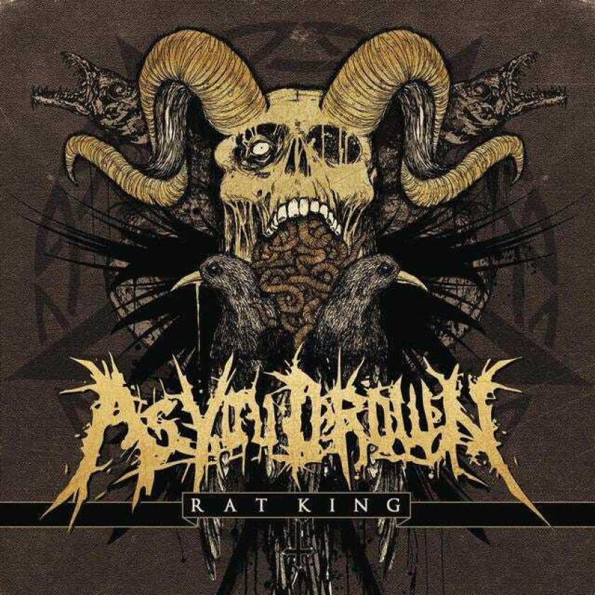 As You Drown Rat King CD