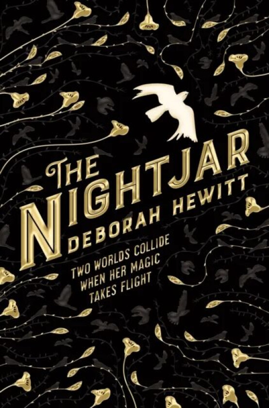 The Nightjar av Deborah Hewitt
